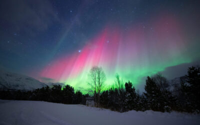 The Northern Lights – An Experience You Will Remember