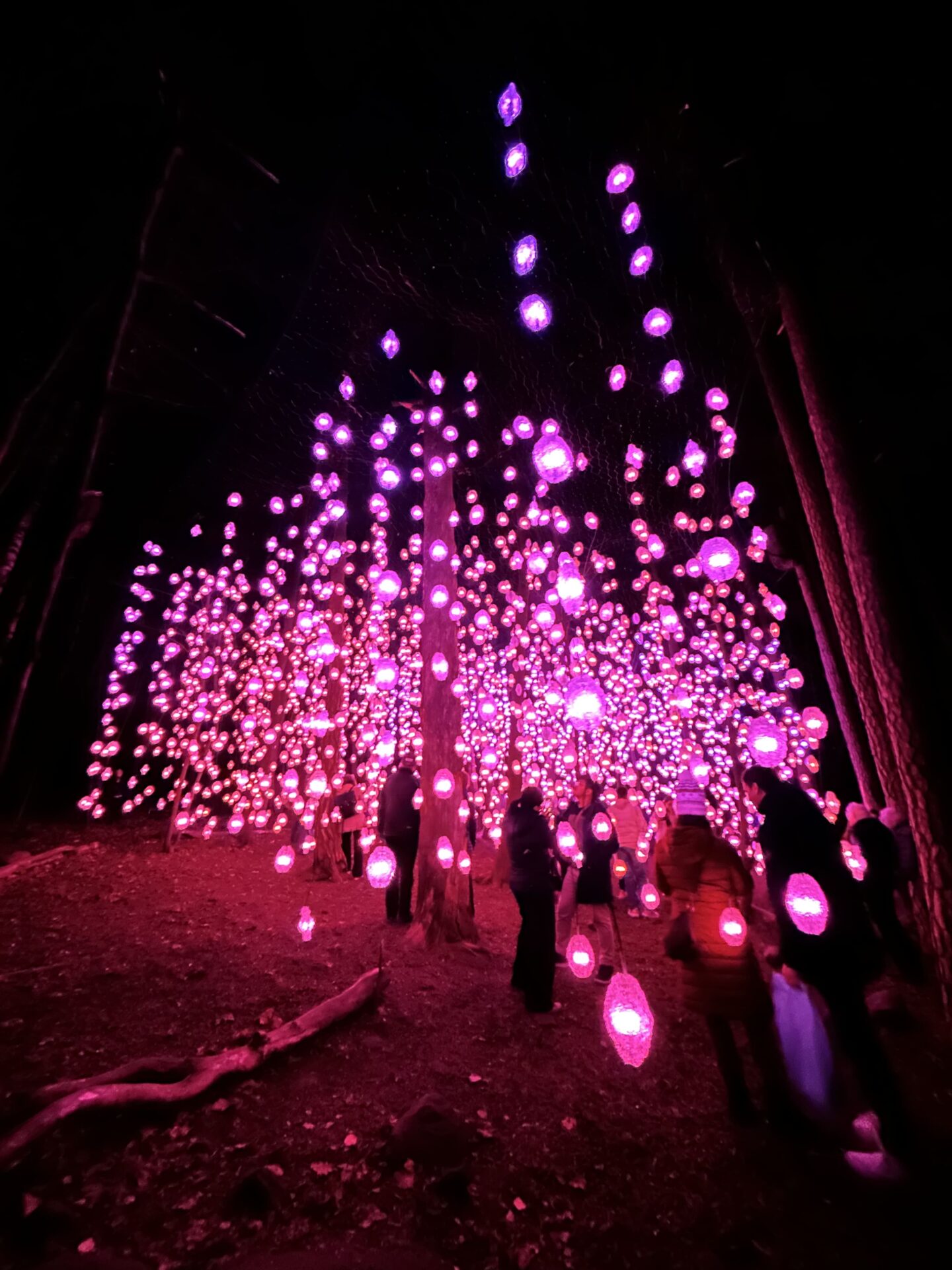 Ekeberg Park in Oslo, Norway